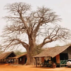 Casamance